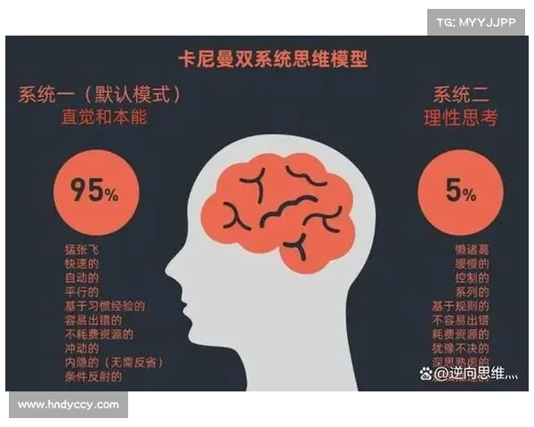 坎贝尔位置选择分析：从五种视角探讨其在决策中的影响与应用